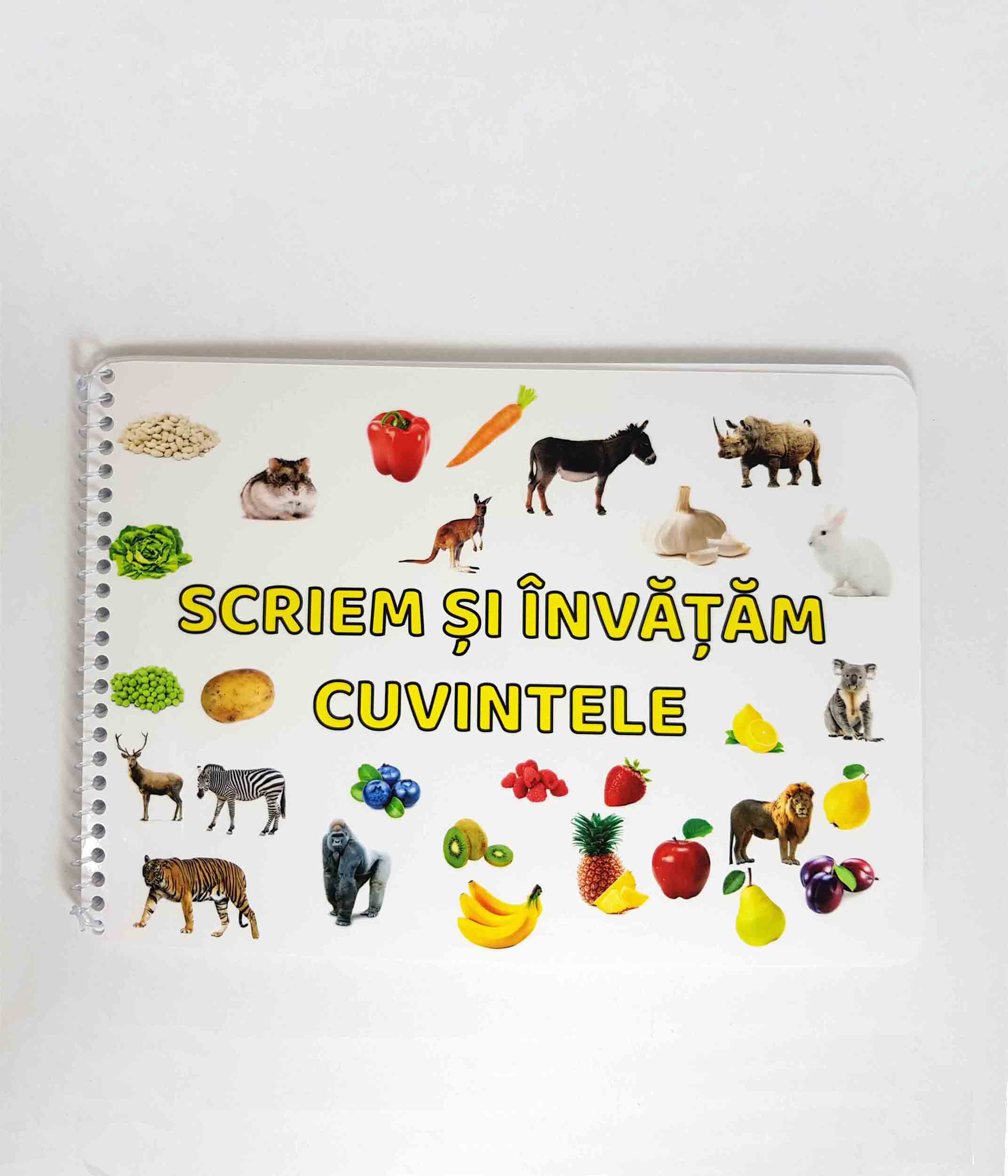 scriem si invatam cuvintele