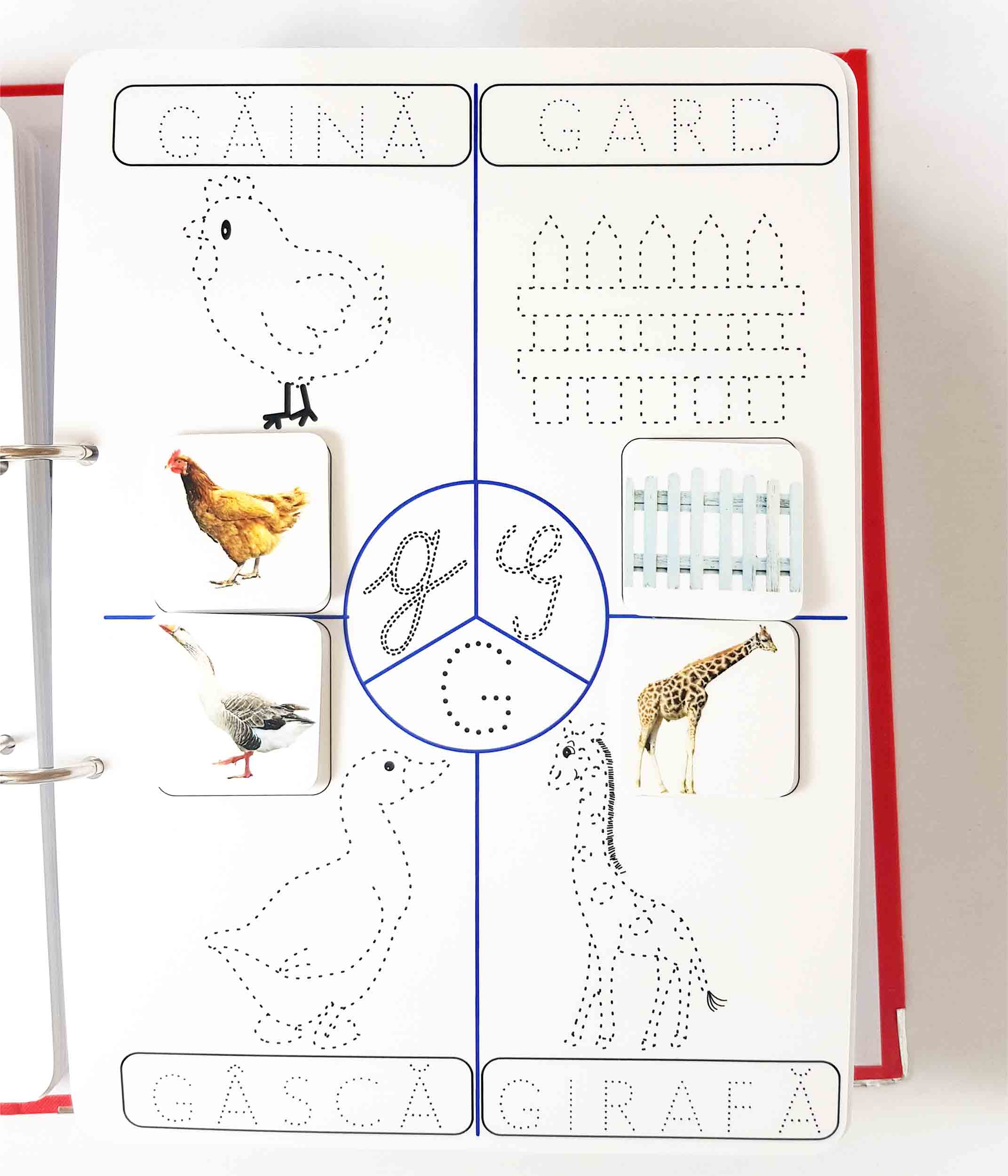 Alfabet educativ-distractiv (3)