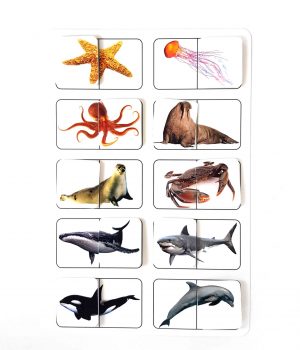 Planșă – Animale marine