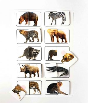 Planșă – Animale sălbatice din lume