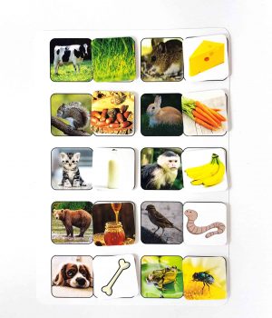 Planșă – Ce mănâncă animalele