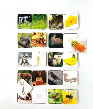 Planșă – Ce mănâncă animalele